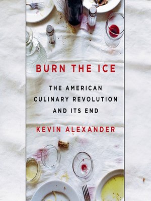 cover image of Burn the Ice